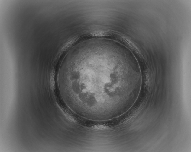 X0000113780586200909231317