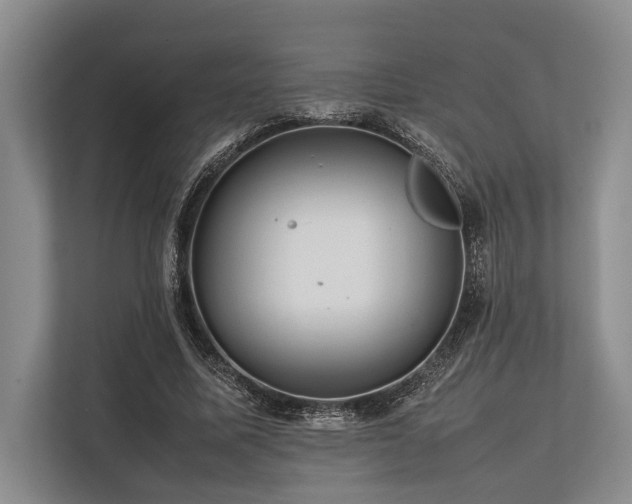 X0000113780587200909231317
