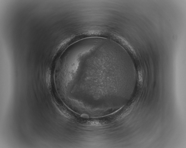 X0000113780588200909231317