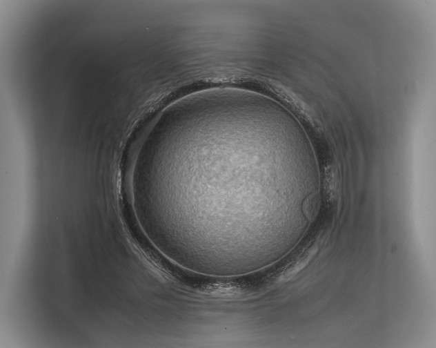 X0000113780589200909231317