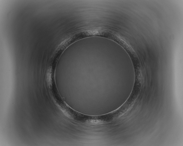 X0000113780590200909231317