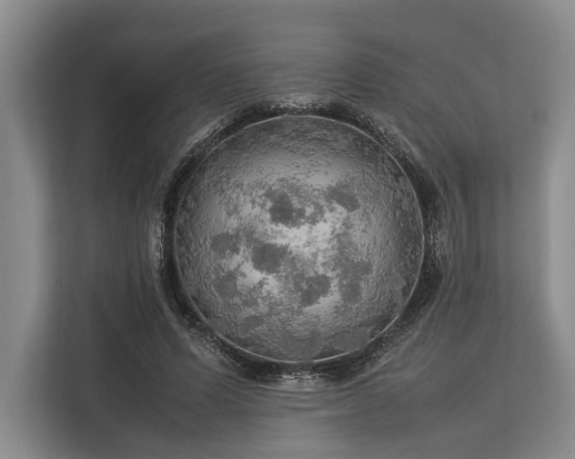 X0000113780591200909231317