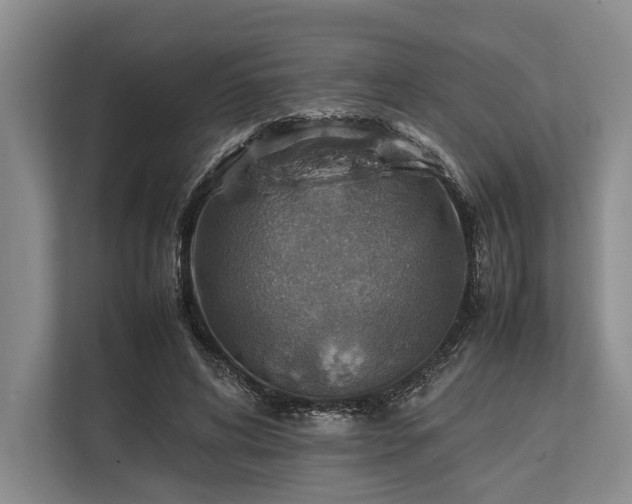 X0000113780592200909231317
