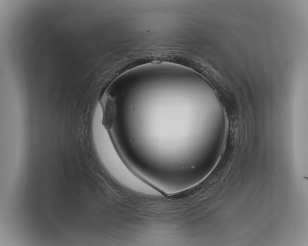 X0000113780593200909231317