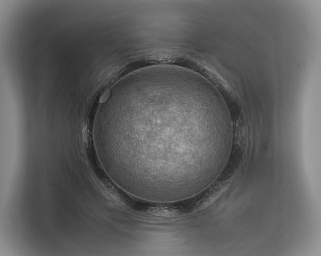 X0000113780597200909231317