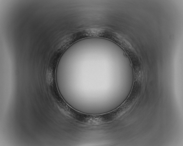 X0000113780599200909231317