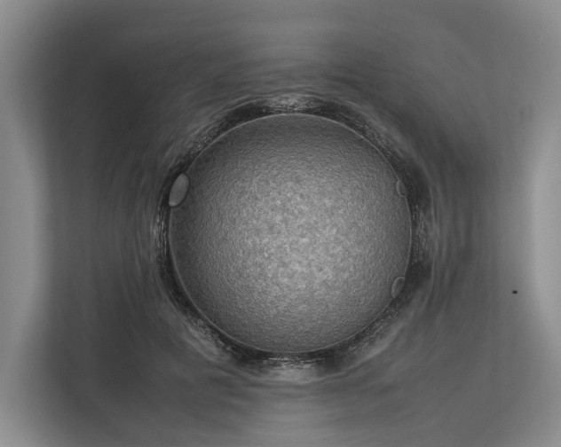 X0000113780601200909231317