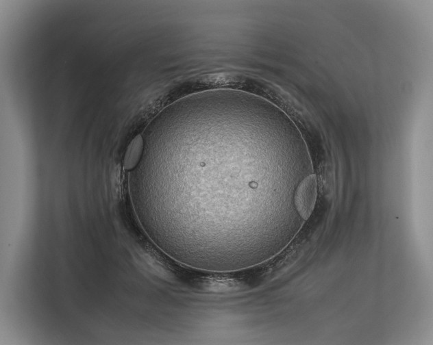 X0000113780605200909231317