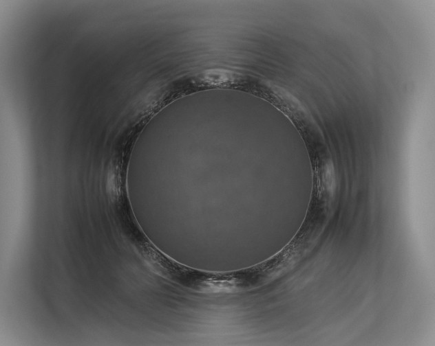 X0000113780606200909231317
