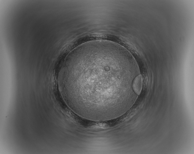 X0000113780609200909231317