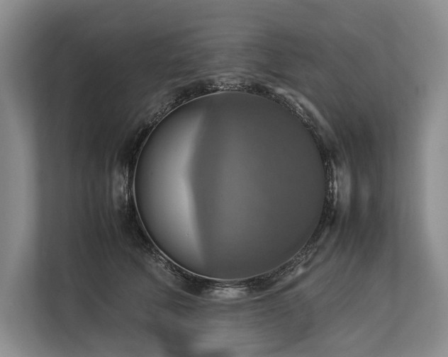 X0000113780610200909231317
