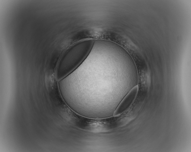 X0000113780611200909231317
