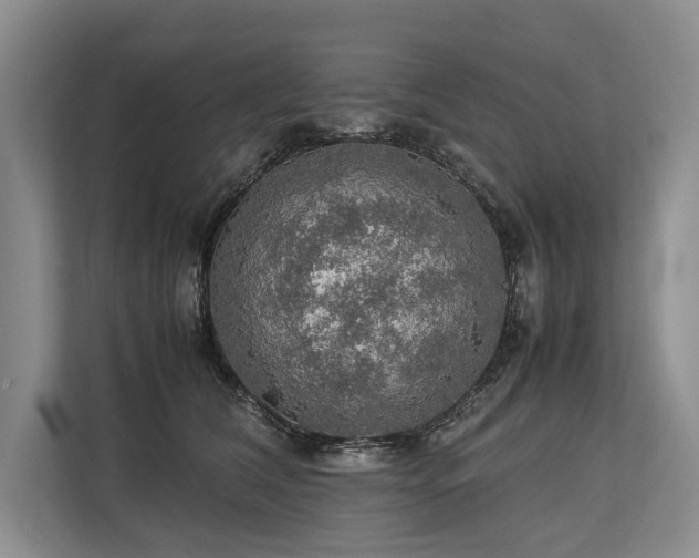 X0000113780612200909231317