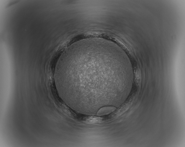 X0000113780617200909231317