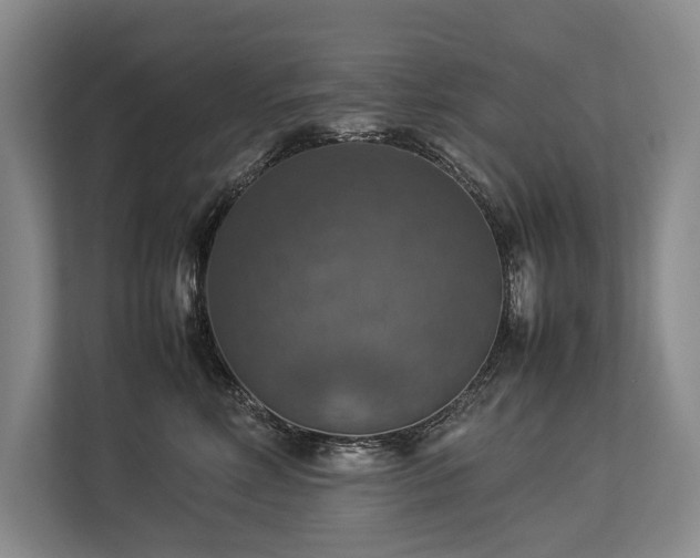X0000113780618200909231317