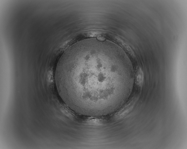 X0000113780620200909231317