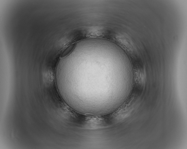 X0000113780621200909231317