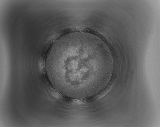 X0000113780624200909231317