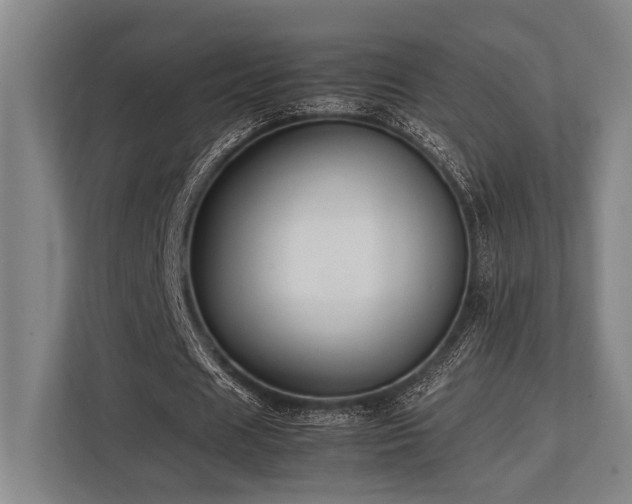 X0000113780625200909231316