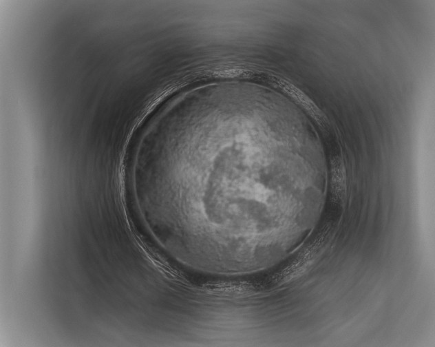X0000113780626200909231316