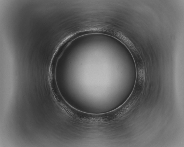 X0000113780628200909231316