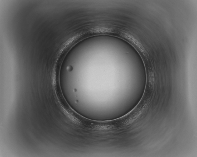 X0000113780629200909231316
