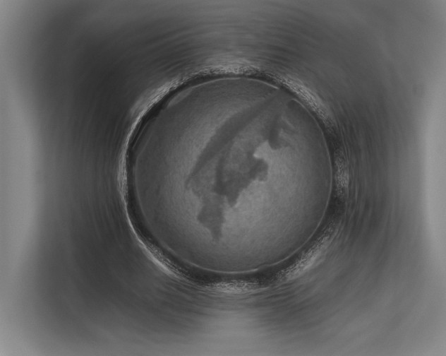 X0000113780630200909231316