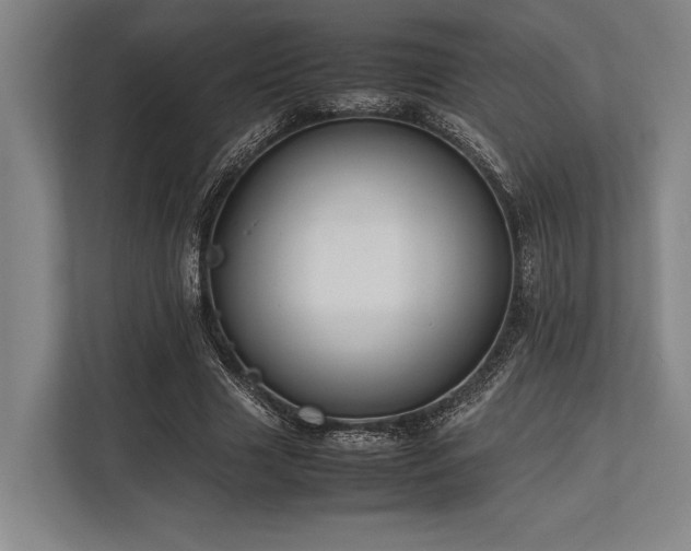 X0000113780633200909231316