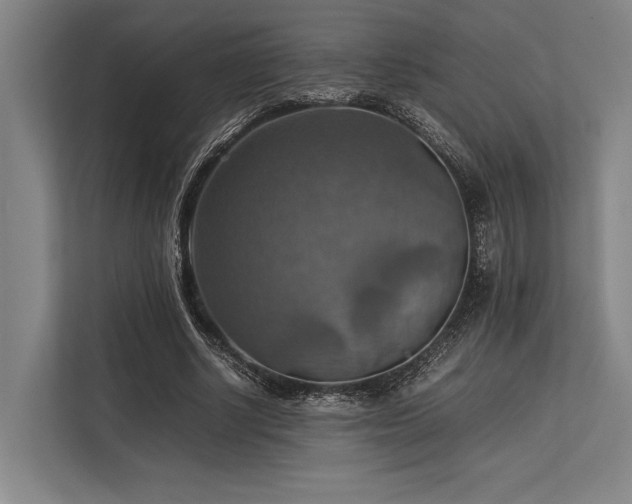 X0000113780634200909231316