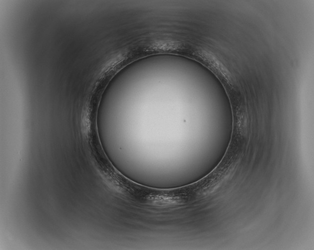 X0000113780635200909231316