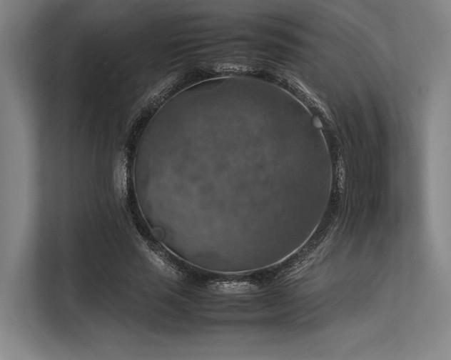 X0000113780637200909231316