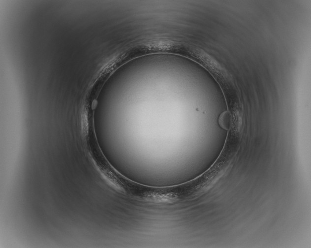 X0000113780638200909231316
