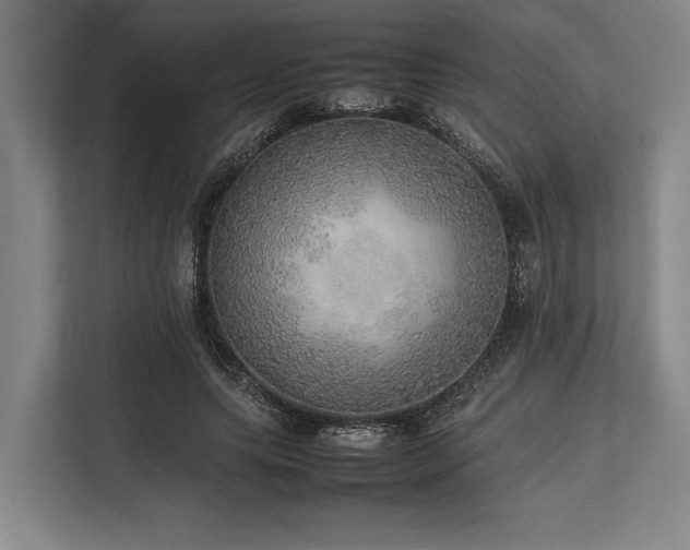 X0000113780639200909231316
