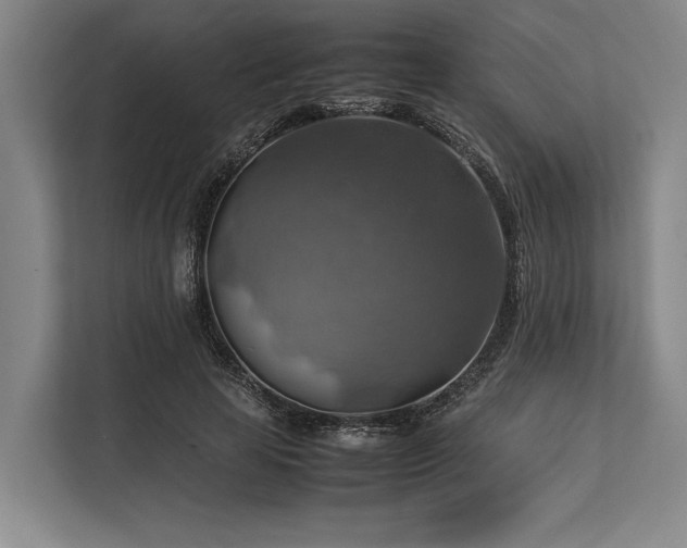 X0000113780641200909231316