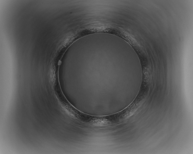 X0000113780642200909231316