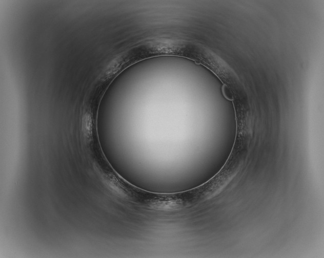 X0000113780646200909231316