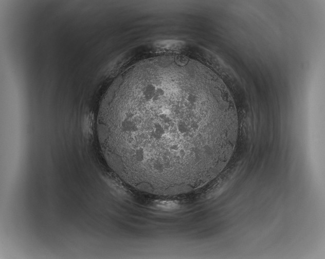 X0000113780649200909231316