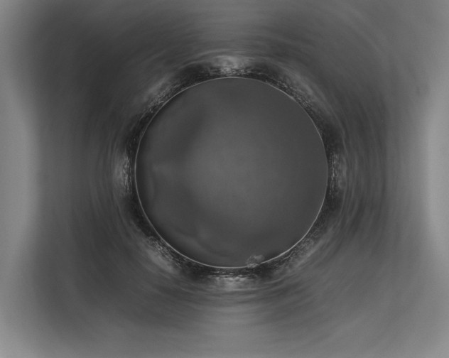 X0000113780650200909231316