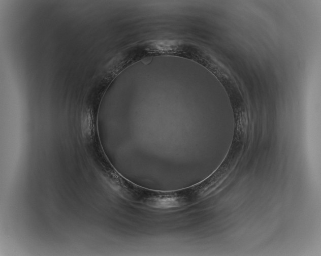 X0000113780651200909231316