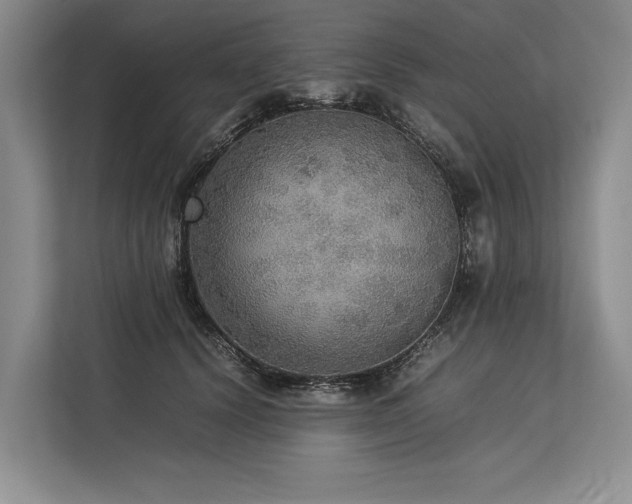 X0000113780656200909231316