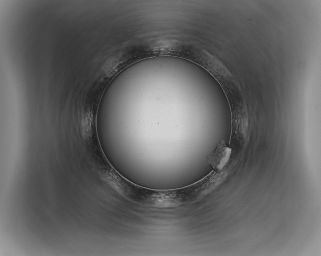 X0000113780660200909231316