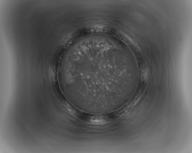 X0000113780661200909231317