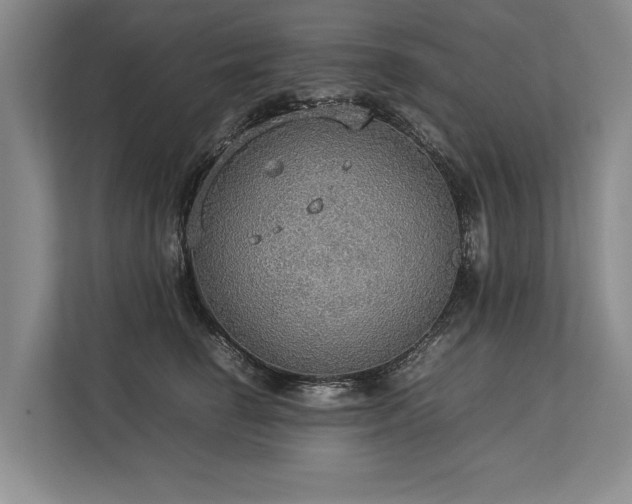 X0000113780662200909231317