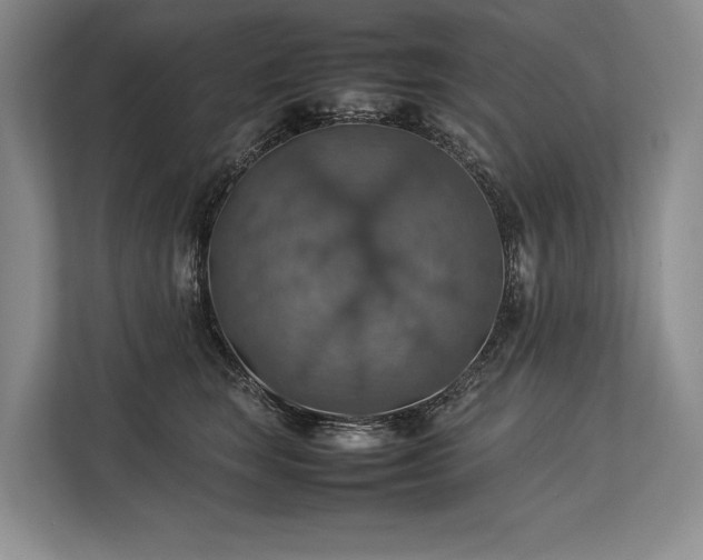 X0000113780663200909231317