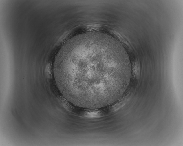 X0000113780667200909231317