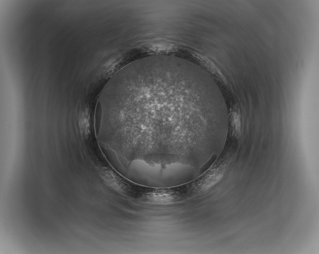 X0000113780668200909231317
