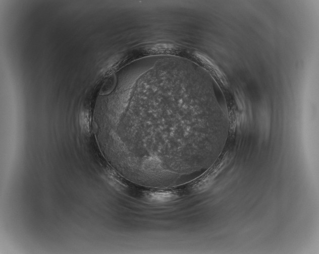 X0000113780669200909231317