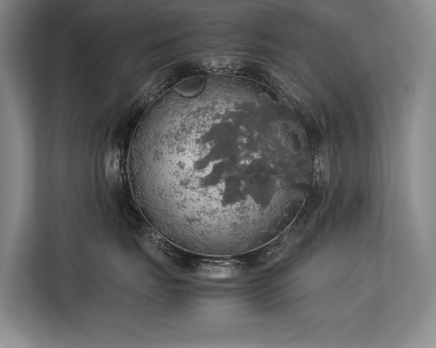 X0000113780671200909231317