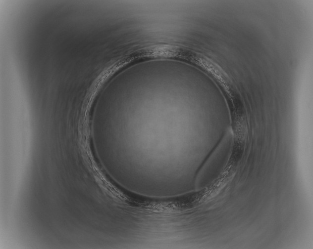 X0000113780673200909231316