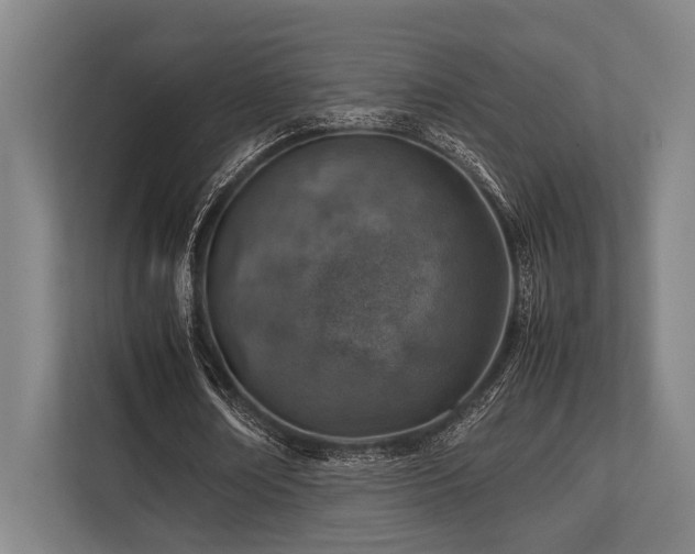 X0000113780674200909231316